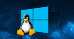 WinLinux